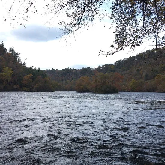 Cherokee National Forest Citico Creek Campsite 3 Picture 4