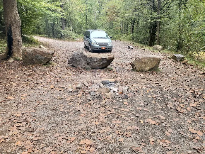 Cherokee National Forest Citico Creek Campsite 3 Picture 7