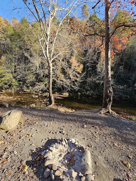 Cherokee National Forest Citico Creek Campsite 3 Picture 8