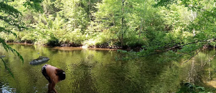 Young Branch Campground Picture 2