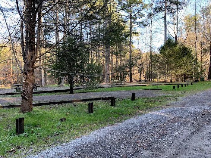 Young Branch Campground Picture 1