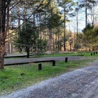 Young Branch Campground ico