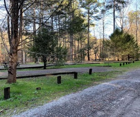 Young Branch Campground