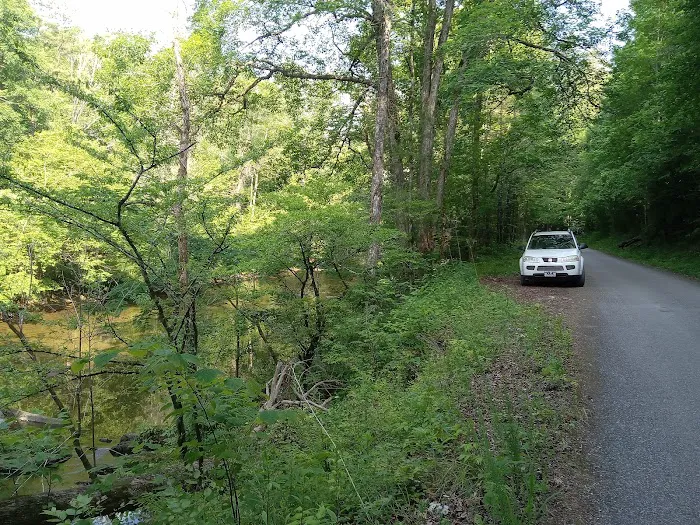 Young Branch Campground Picture 3
