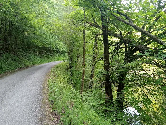 Young Branch Campground Picture 6