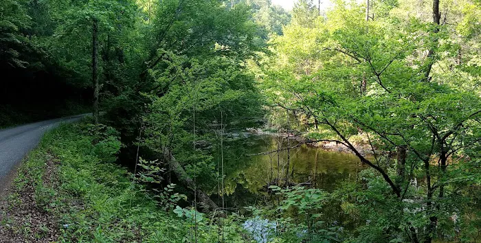 Young Branch Campground Picture 5