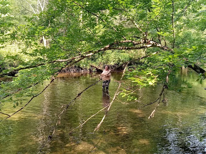 Young Branch Campground Picture 7