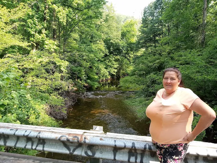 Young Branch Campground Picture 8