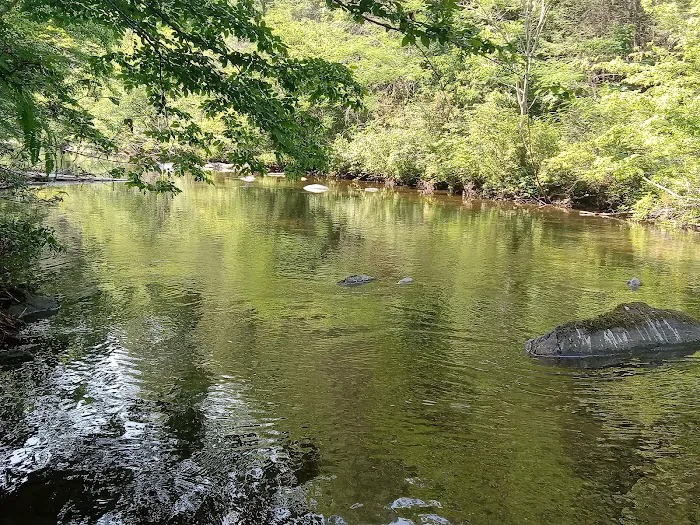 Young Branch Campground Picture 9