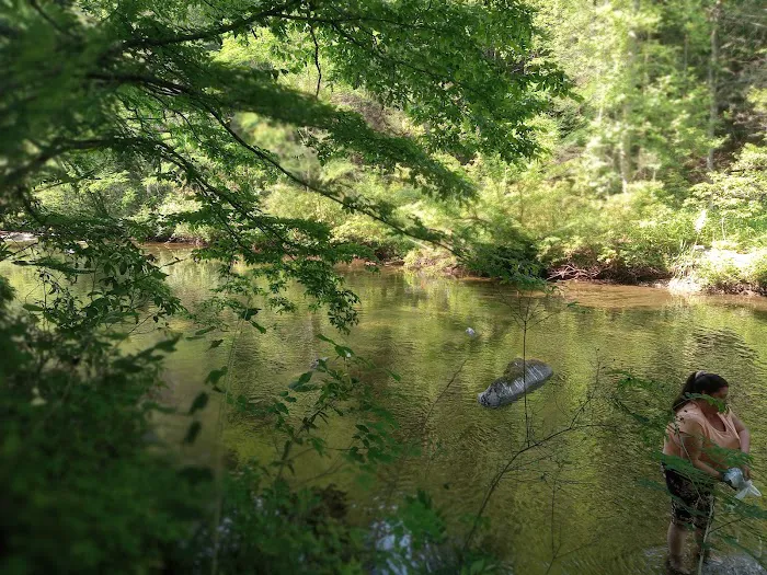 Young Branch Campground Picture 10