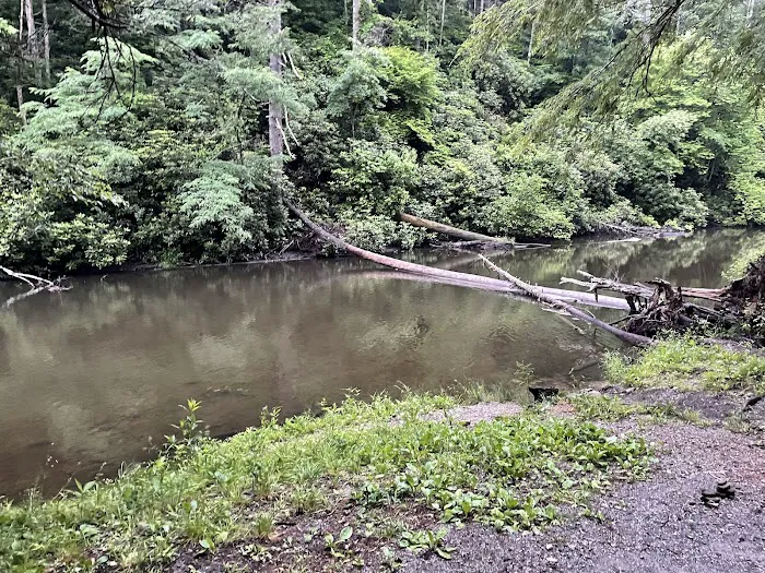 Abrams Creek Campground Picture 1