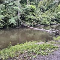 Abrams Creek Campground ico