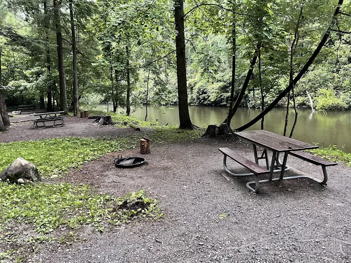 Abrams Creek Campground Picture 2