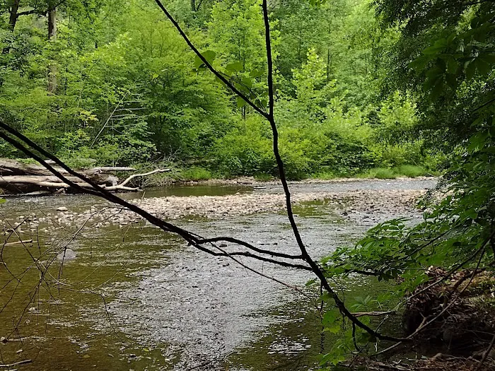 Abrams Creek Campground Picture 5