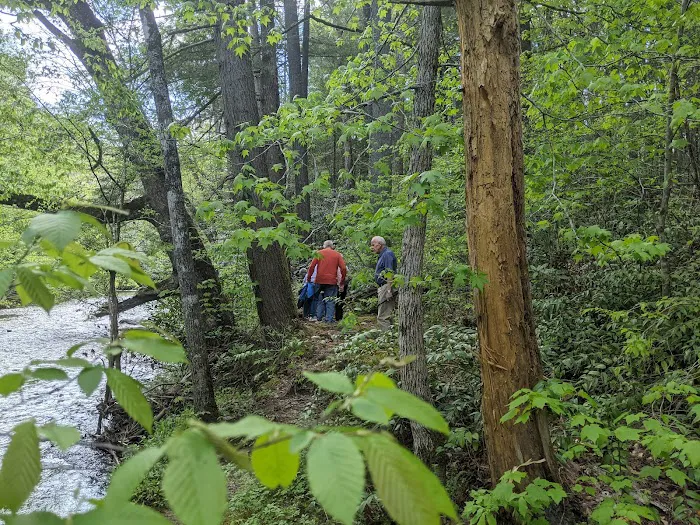 Abrams Creek Campground Picture 9