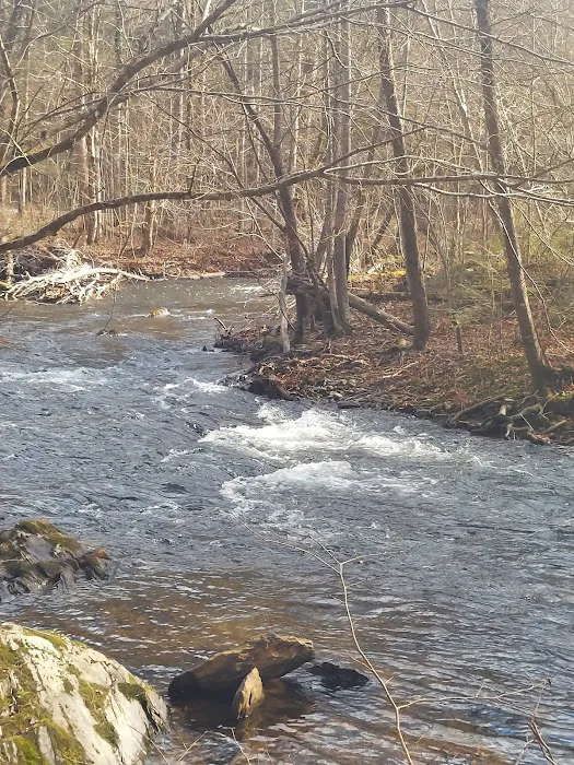 Abrams Creek Campground Picture 7
