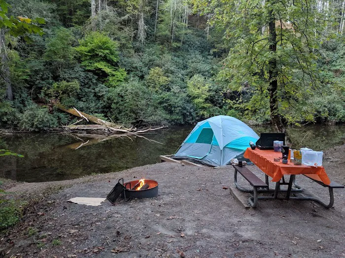 Abrams Creek Campground Picture 10