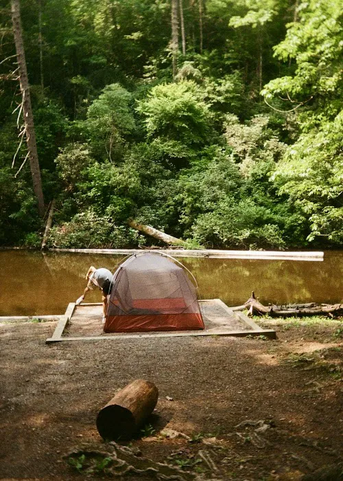 Abrams Creek Campground Picture 8