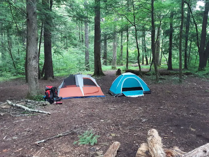 Backcountry Campsite #17 Picture 3
