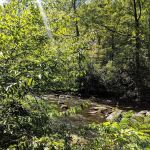 Backcountry Campsite #17