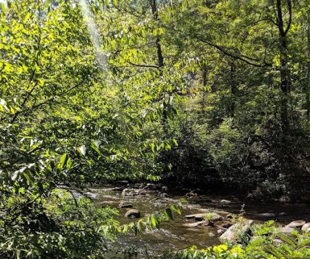 Backcountry Campsite #17