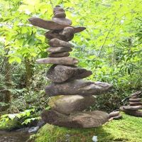 Backcountry Camp 12 ico