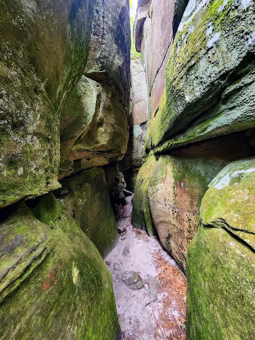 Backcountry Camp 12 Picture 2