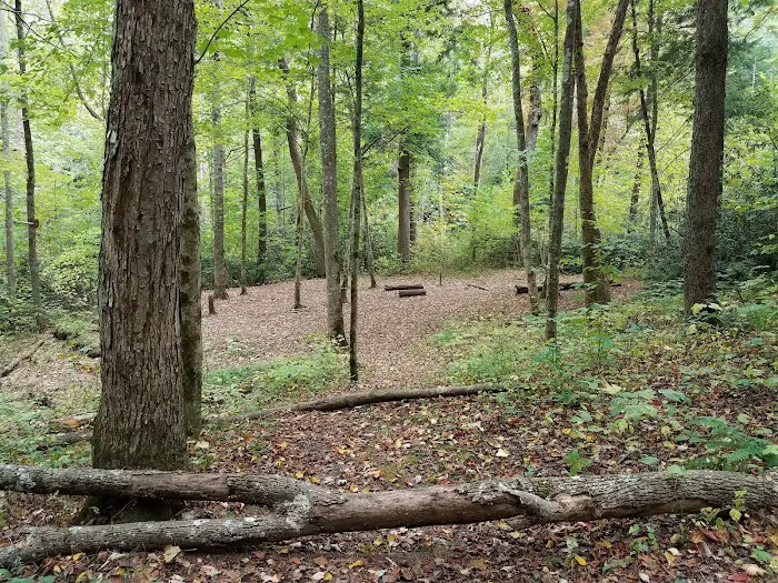 Backcountry Camp 12 Picture 3