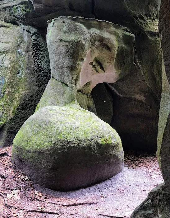 Backcountry Camp 12 Picture 6