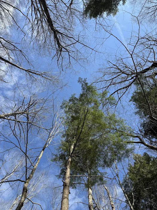 Backcountry Camp 12 Picture 4