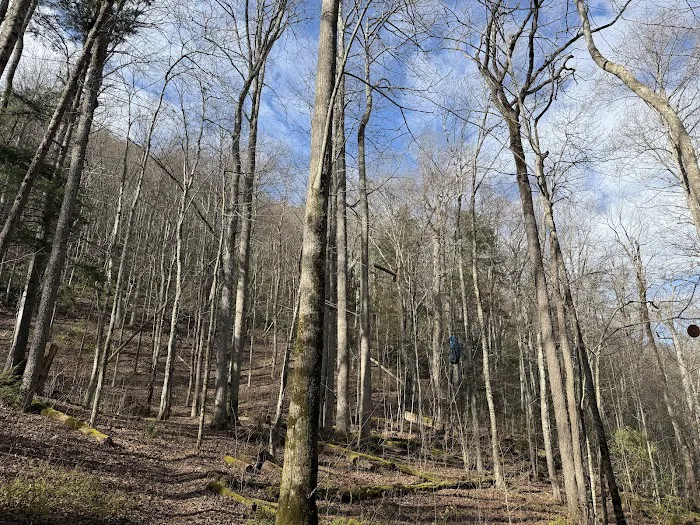 Backcountry Camp 12 Picture 8