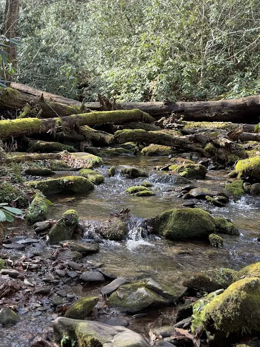 Backcountry Camp 12 Picture 7