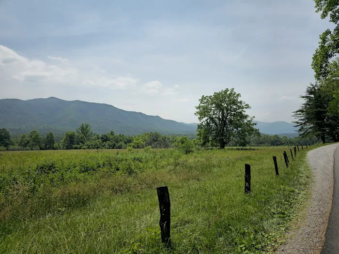 Cades Cove Campground Picture 1