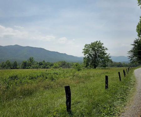 Cades Cove Campground