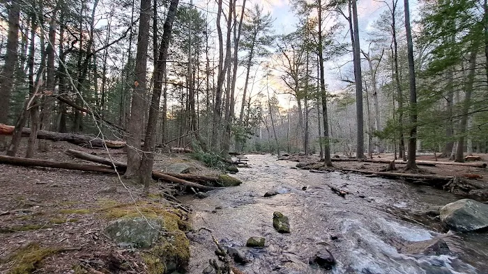 Cades Cove Campground Picture 2