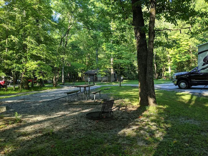Cades Cove Campground Picture 6