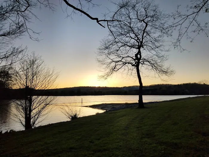 Riley Creek Campground Picture 1