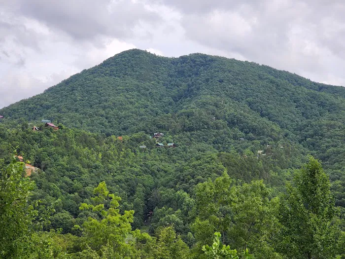 Mountain Dew (Cabin) Picture 1