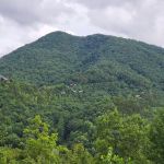 Mountain Dew (Cabin)