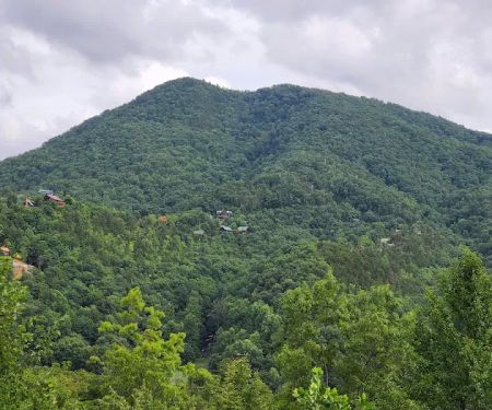Mountain Dew (Cabin)