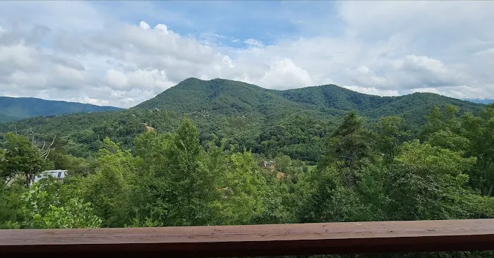 Mountain Dew (Cabin) Picture 2