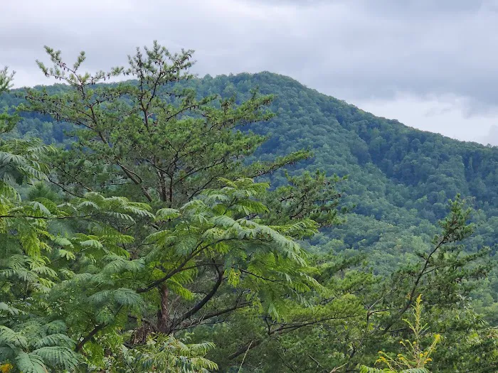 SUMMIT VIEW Picture 8