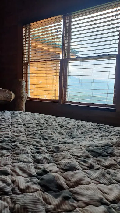 Amazing View Manor Picture 6