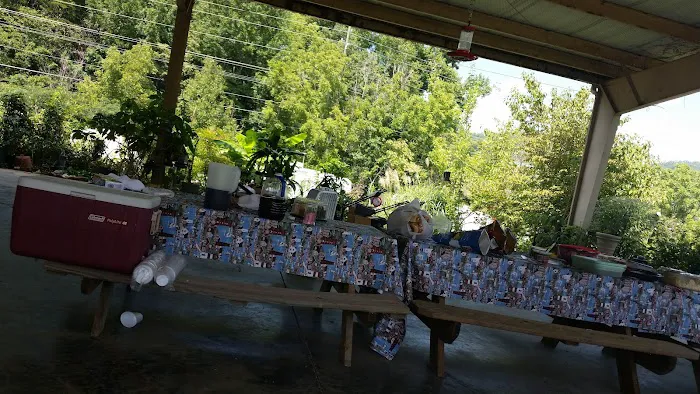 Smoker Holler RV Resort Picture 5