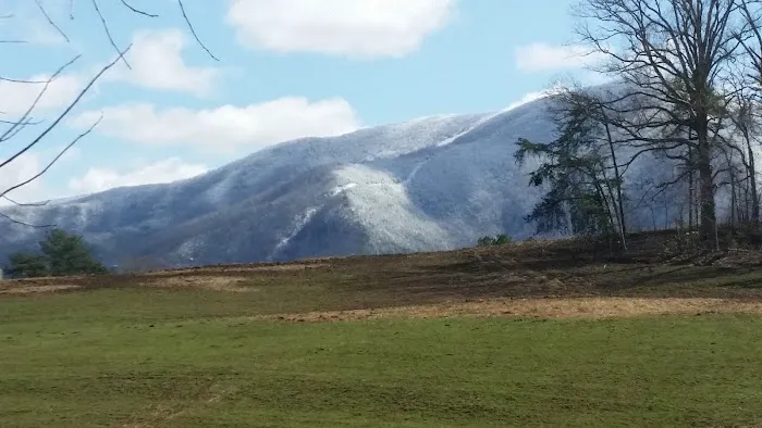 Smoker Holler RV Resort Picture 4