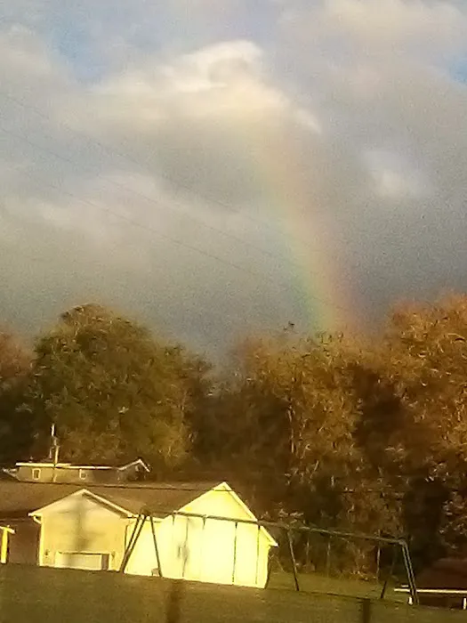 Smoker Holler RV Resort Picture 3