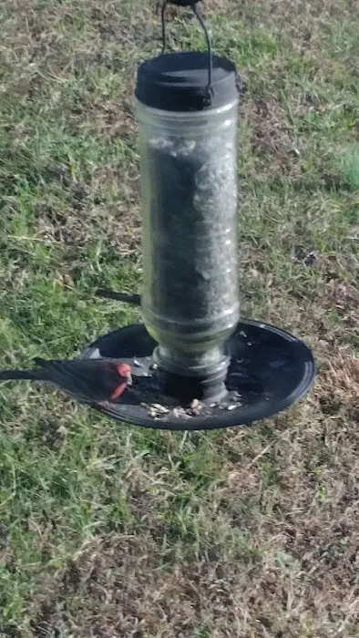 Smoker Holler RV Resort Picture 7