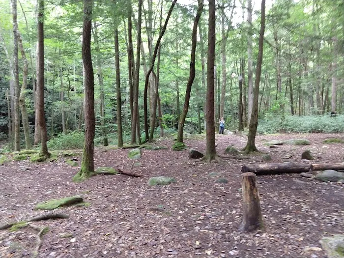 Backcountry Camp 18 Picture 6