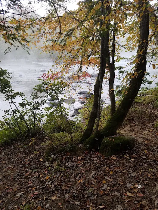 Rock Creek Campground Picture 6