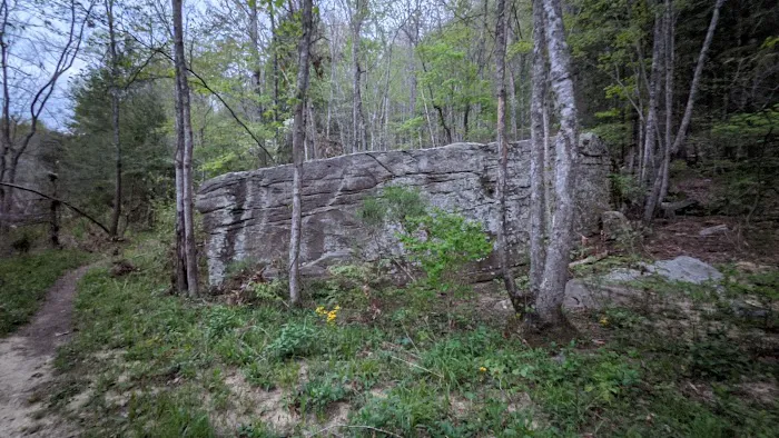 Rock Creek Campground Picture 7